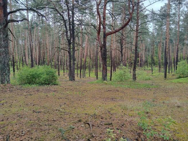 Piękna duża działka inwestycyjna 30km od granic Warszawy