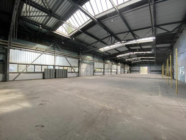 Do wynajęcia hala magazynowa 1.900m²