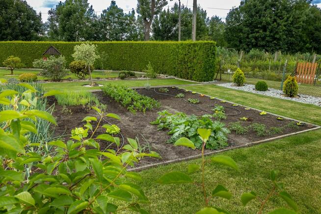 Ogród działkowy ROD - Twój zielony azyl w sercu Kluczborka
