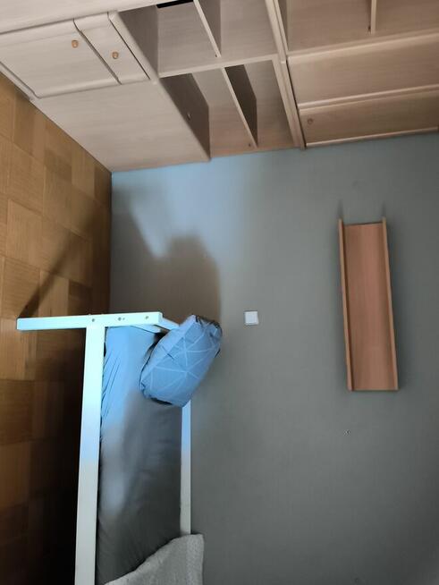 Praca w Austrii przy pieleniu warzyw 10000 tyś na rękę