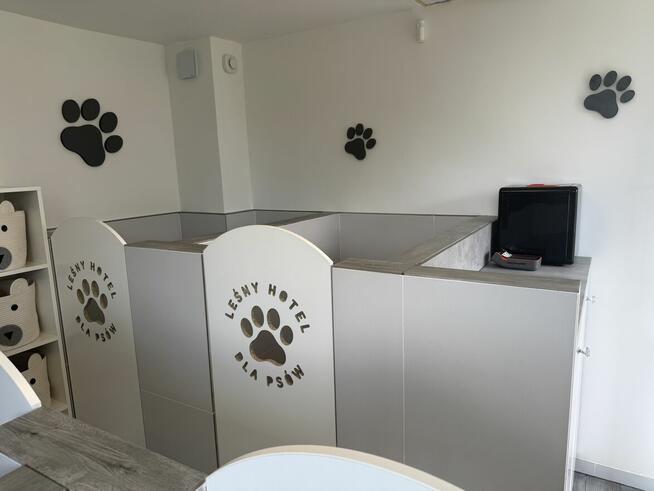 Leśny hotel dla psów w Jaworzu