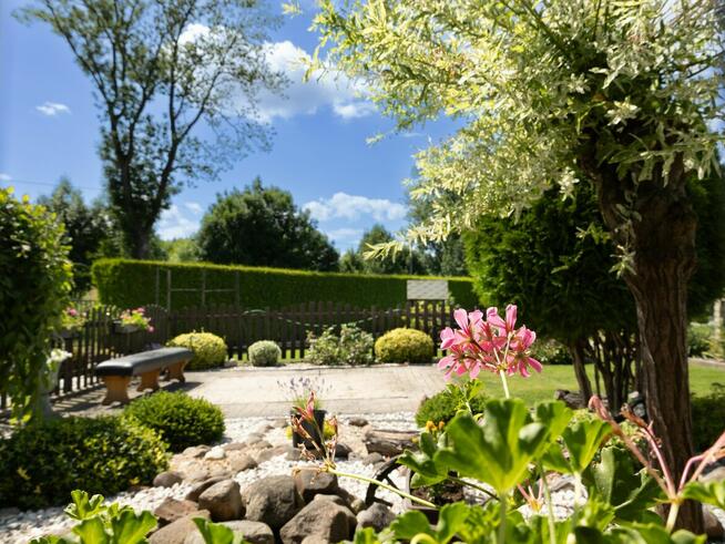 Ogród działkowy ROD z altaną jak maly domek