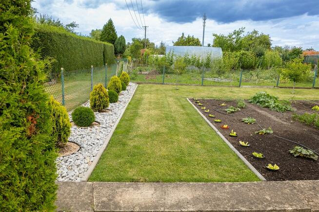 Ogród działkowy ROD - Twój zielony azyl w sercu Kluczborka