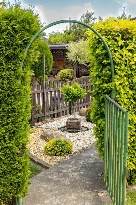 Ogród działkowy ROD z altaną jak maly domek