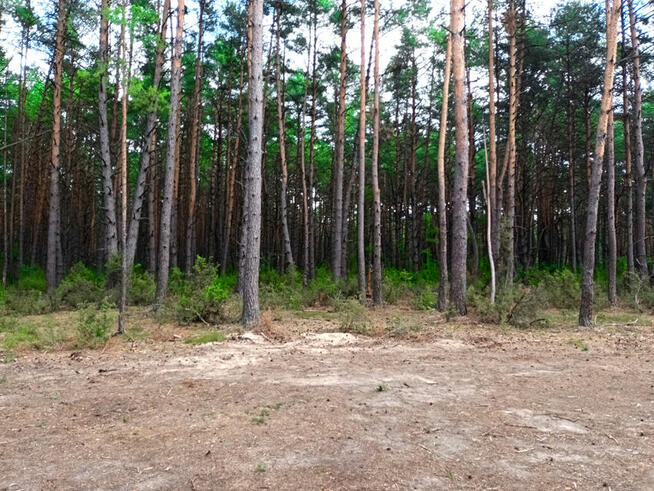 Piękna działka blisko Zalewu Zegrzyńskiego