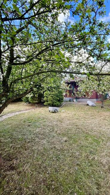 Działka rekreacyjna ROD - Przylaszczka, ul. Nowowiejska