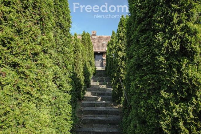 Nieruchomość Winnica 19 Toruń Nowa Cena