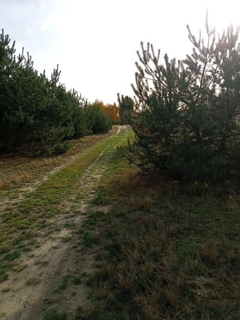 Idealna działka pod Twój wymarzony dom
