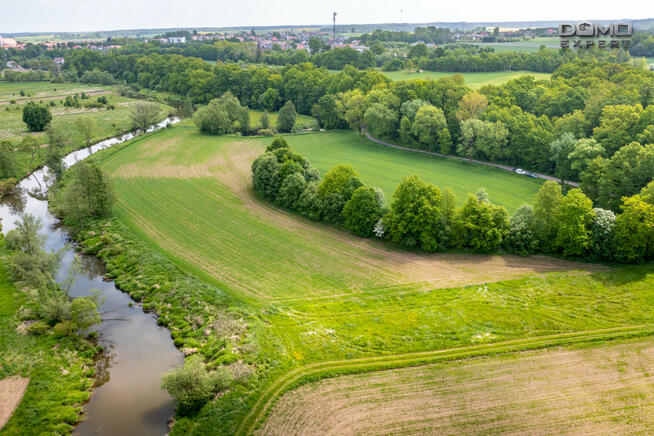 Działka rolna Nowogrodziec,