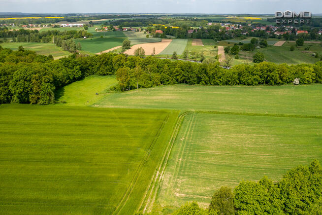 Działka rolna Nowogrodziec,