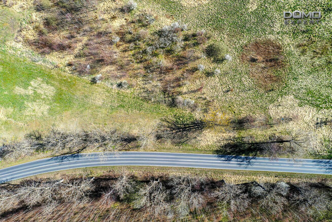 Działka inwestycyjna Olszyna,