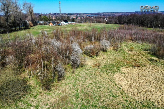 Działka inwestycyjna Olszyna,