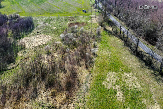 Działka inwestycyjna Olszyna,