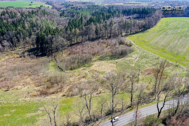 Działka inwestycyjna Olszyna,