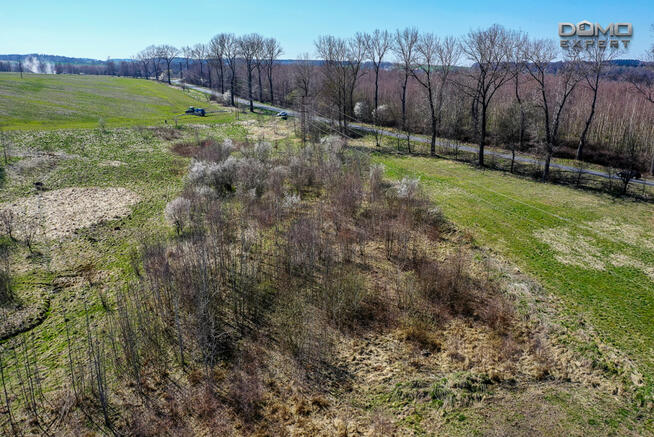 Działka inwestycyjna Olszyna,