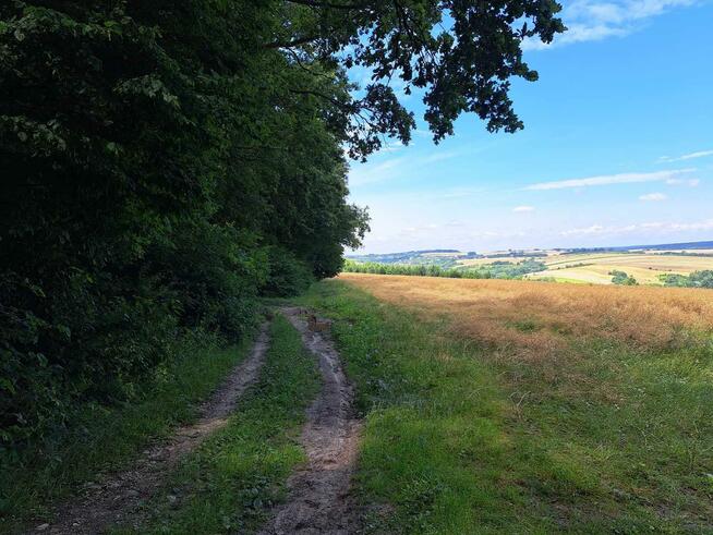 Działka rolna Iwanowice Dworskie gm. Iwanowice