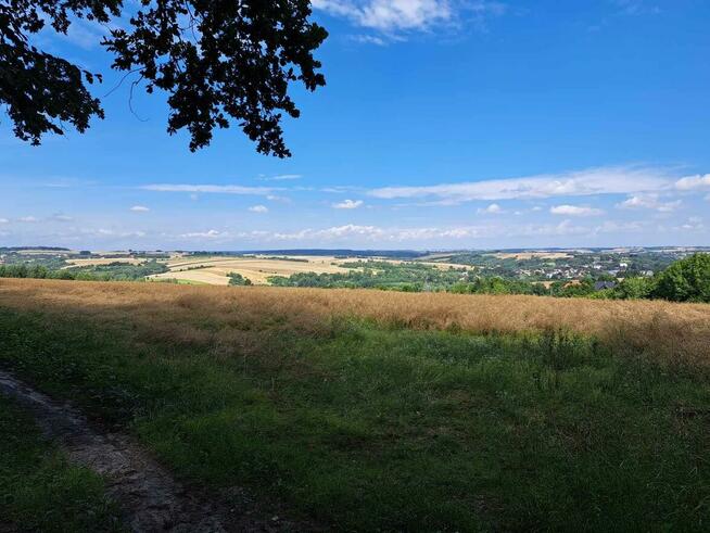 Działka rolna Iwanowice Dworskie gm. Iwanowice