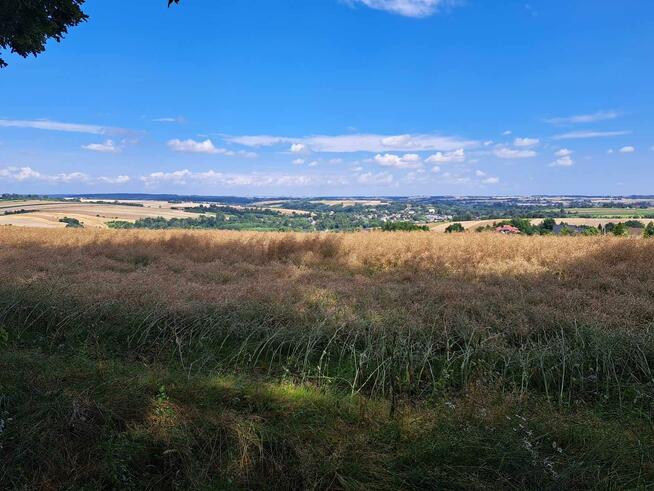 Działka rolna Iwanowice Dworskie gm. Iwanowice