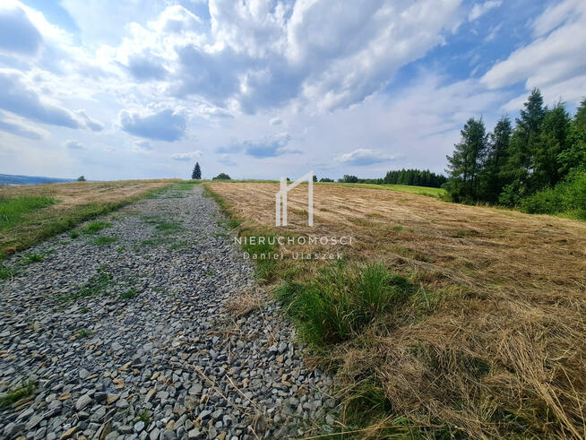 Działka budowlana Siedliska Sławęcińskie gm. Skołyszyn