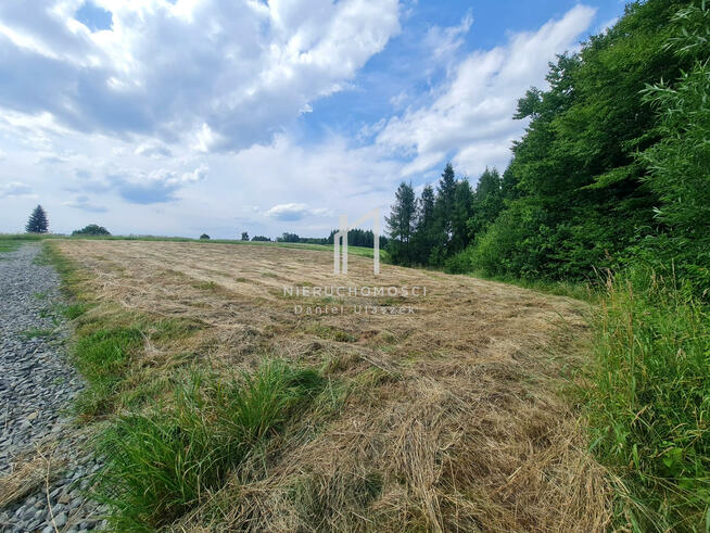 Działka budowlana Siedliska Sławęcińskie gm. Skołyszyn