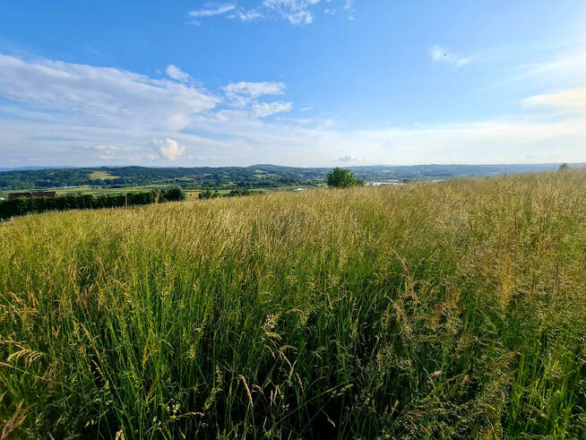 Działka budowlana Siedliska Sławęcińskie gm. Skołyszyn