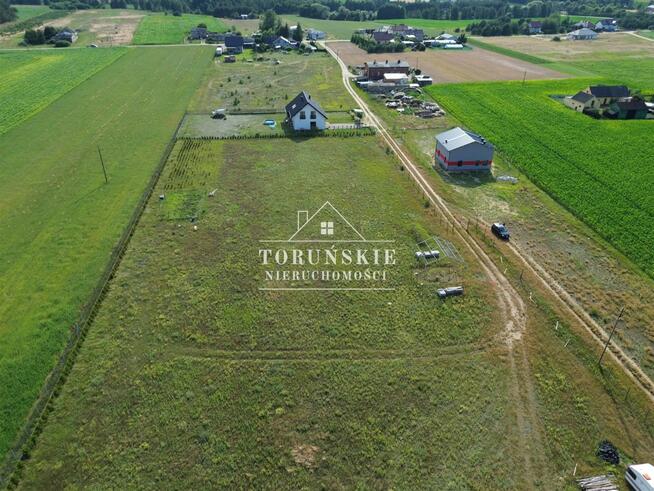 Działka Golub Dobrzyń Lisewo