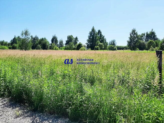 Działka budowlana Krasne Kolonia-Krasne