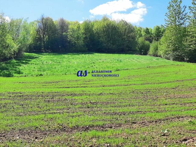 Działka budowlana Błędowa Tyczyńska gm. Chmielnik