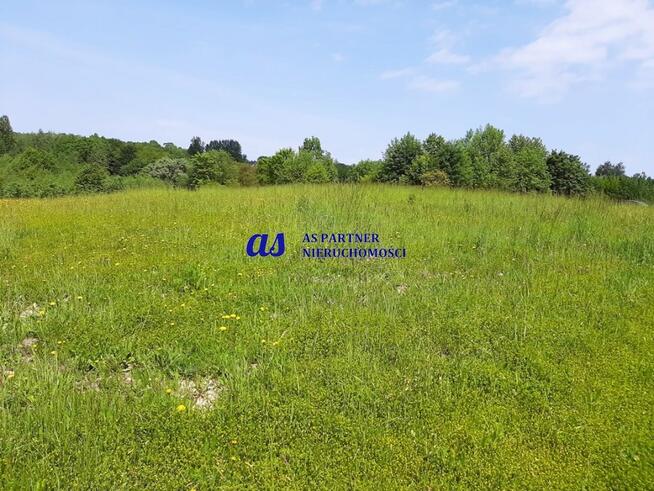 Działka Wola Rafałowska gm. Chmielnik