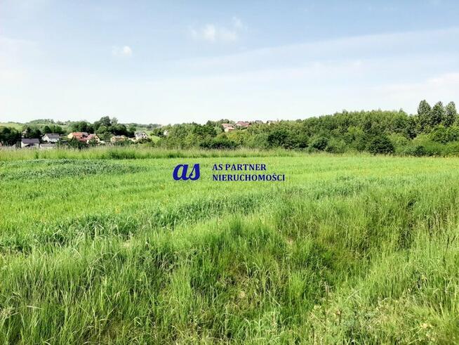 Działka Wola Rafałowska gm. Chmielnik