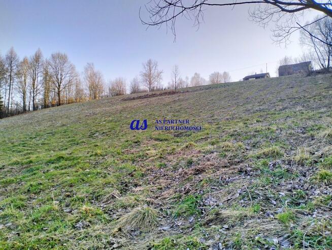 Działka Błędowa Tyczyńska gm. Chmielnik