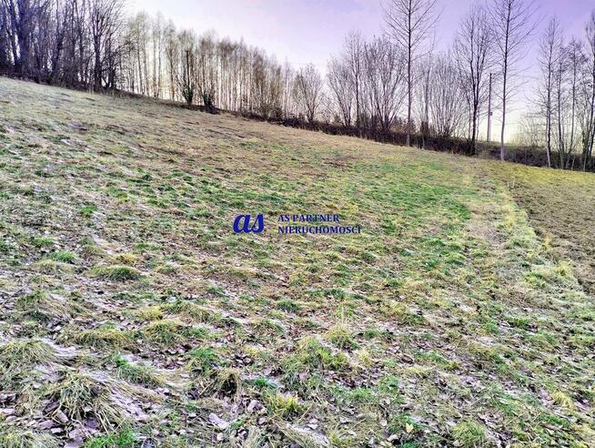 Działka Błędowa Tyczyńska gm. Chmielnik