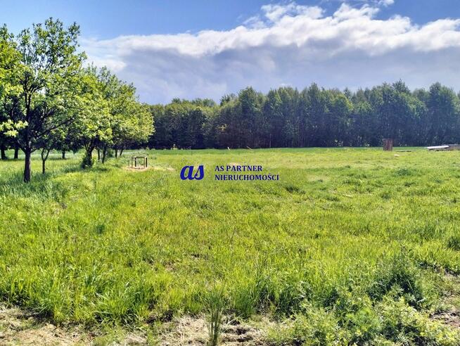 Działka budowlana Lubenia Obręczna-Dział