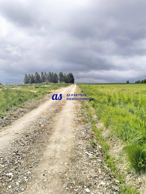 Działka budowlana Lubenia Obręczna-Dział