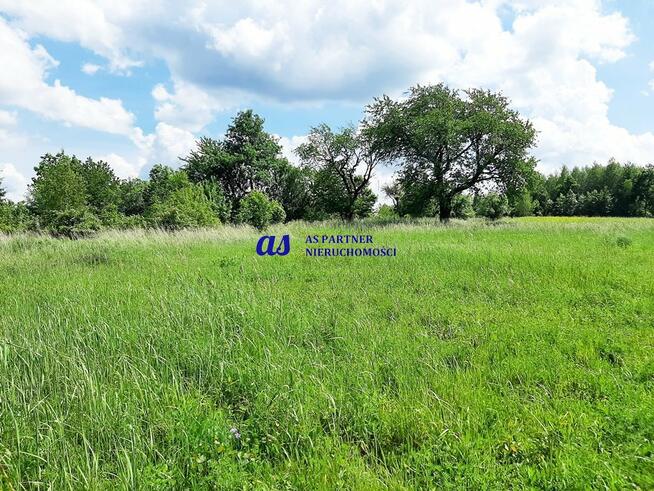 Działka Hermanowa gm. Tyczyn Pańskie Pola-Gradkowiec