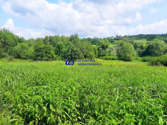 Działka rolna Borek Stary gm. Tyczyn