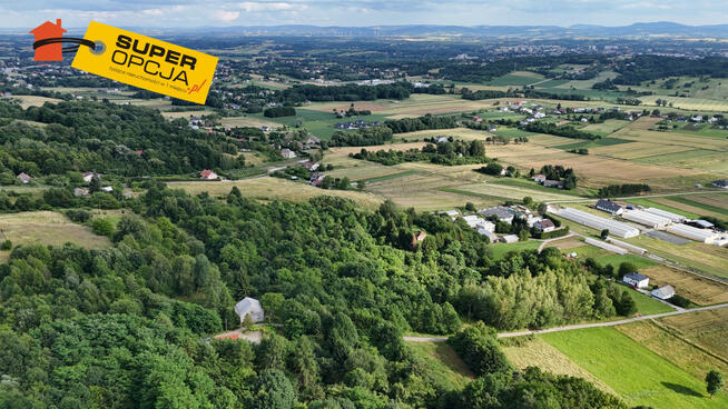 Działka rolna Odrzykoń gm. Wojaszówka,