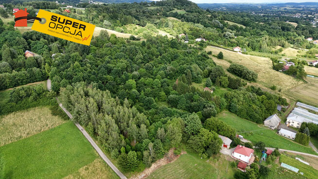 Działka rolna Odrzykoń gm. Wojaszówka,