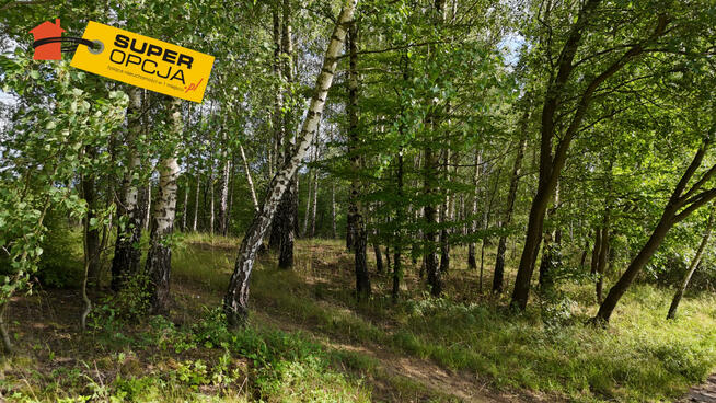 Działka rolna Odrzykoń gm. Wojaszówka,