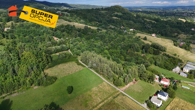 Działka rolna Odrzykoń gm. Wojaszówka,