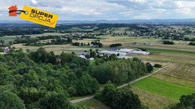 Działka rolna Odrzykoń gm. Wojaszówka,