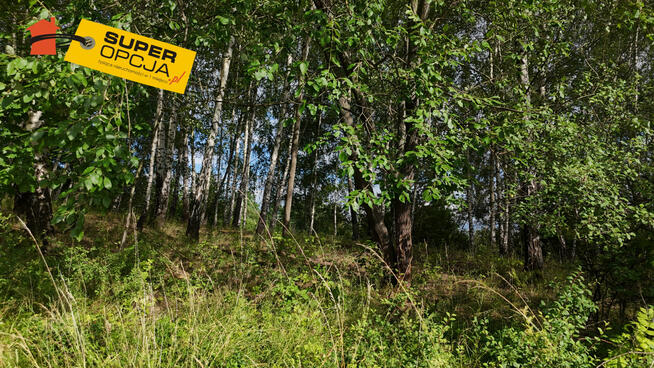 Działka rolna Odrzykoń gm. Wojaszówka,