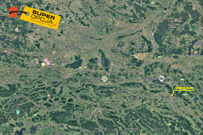 Działka rolna Odrzykoń gm. Wojaszówka,