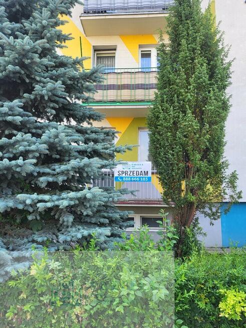 Rezerwacja- Sprzedam mieszkanie M3, Parter