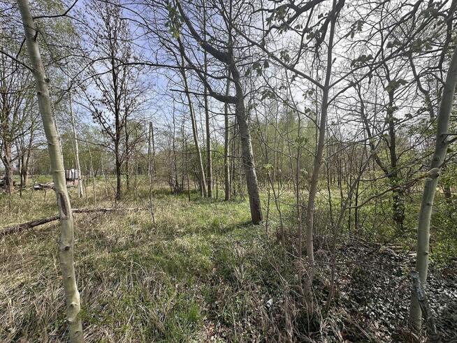 Działka budowlana Grzymalin gm. Miłkowice,