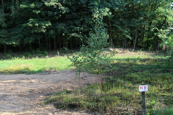 Działka budowlana Niewodnica Kościelna gm. Turośń Kościelna,