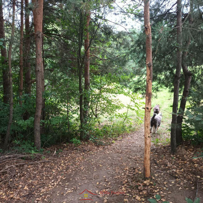 Sobolów, Wola Nieszkowska, działka 0,35ha