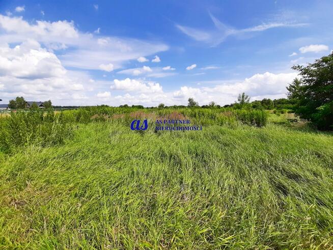 Działka Trzciana gm. Świlcza