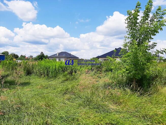 Działka Trzciana gm. Świlcza