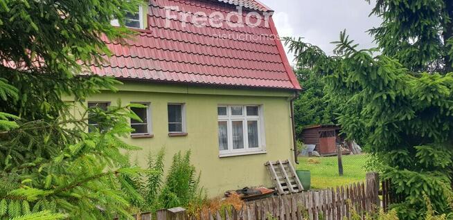 Połowa domu w centrum Dywit